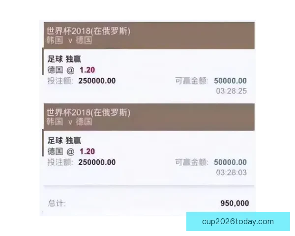 高赔率世界杯竞猜平台推荐 提供最佳投注选择与精彩赛事分析